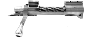 Renegade Comparison Image